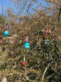 Ein mit bunten Ostereiern geschmückter Osterstrauch ist zu sehen.