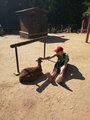 Foto: Kinder streichelt auf dem Boden sitzend eine Ziege. 