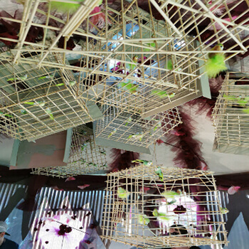 Holzkäfige wild durcheinander gehängt mit Kunstvögeln bestückt - Neue Residenz Halle (Saale)