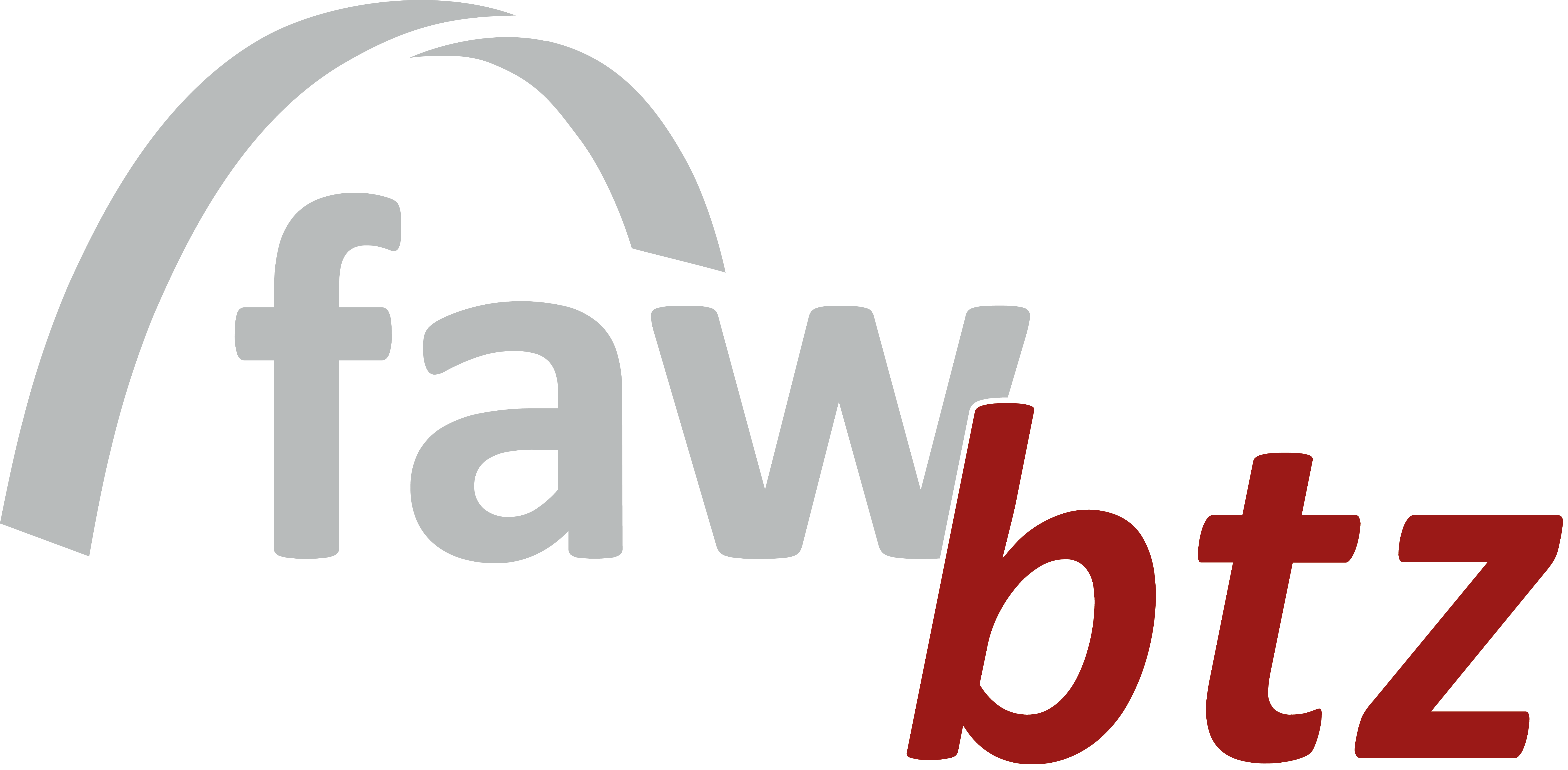 Logo der BTZ der faw